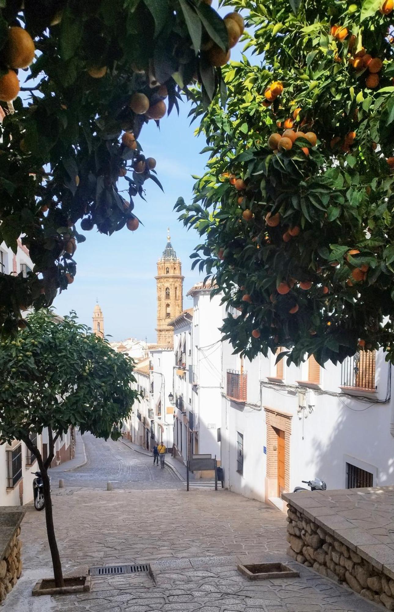 Apartamento Santa Clara Centro Antequera Dış mekan fotoğraf